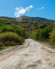 a country road going into the forest area in the foothills towards the mountains. day light and natural light.