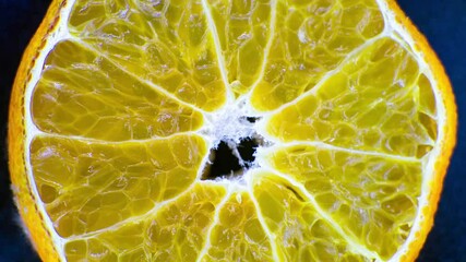 Timelapse of a rotting orange slice