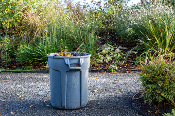 Maintenance and upkeep in public parks and gardens, large gray plastic garbage can filled with yellow fall leaves raked up from gravel paths and garden beds, autumn nature at work
