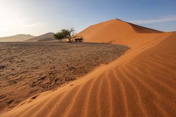 sand dunes in the desert
