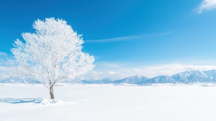 Frosty tree in snowy field, mountains background.