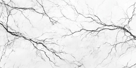 Imagen abstracta de ramas en blanco y negro