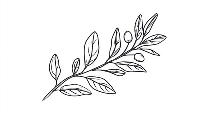 Fototapeta premium Simple line drawing of a branch with leaves and berries.