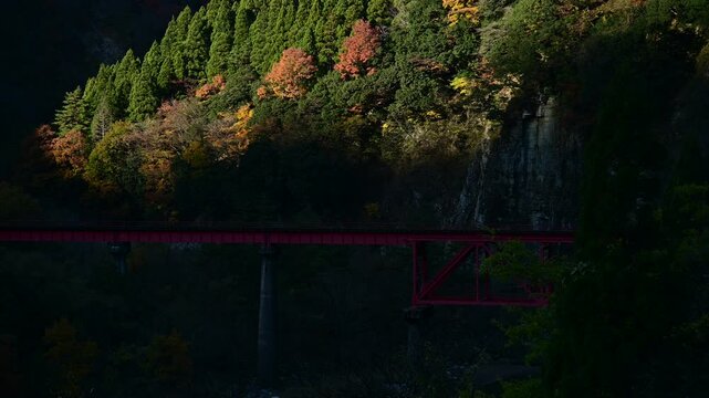 秋の第二九頭龍川橋梁を渡るキハ120形気動車 （越美北線 柿ヶ島 - 勝原, 2024年12月）