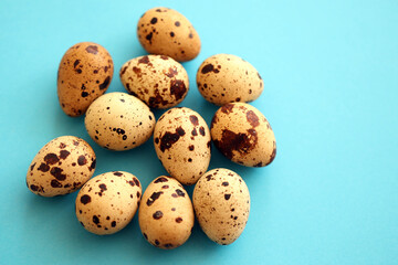 Obraz premium Few amount of quail eggs in small pile on blue background