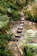 Adventurous Improvised River Crossing - Thrilling Nature Exploration © Louis