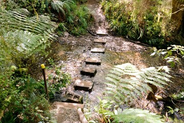 Adventurous Improvised River Crossing - Thrilling Nature Exploration © Louis