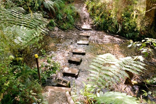 Adventurous Improvised River Crossing - Thrilling Nature Exploration