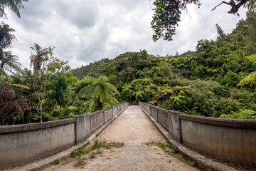 Bridge to Nowhere: Abandoned Scenic Landmark in Whanganui National Park, New Zealand's Remote...