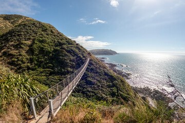 Escarpment Track Walk on Kapiti Coast – Stunning Views of Kapiti Island, Tasman Sea, and Rugged Cliffs Along Te Araroa Trail, New Zealand