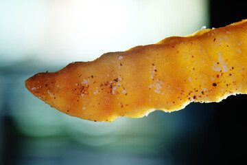 Close up of crinkle cut French fries coated with cayenne powder and salt