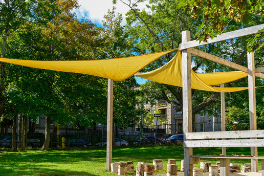 Multiple yellow triangular shaped uv blocking sun shades. The sail shades are outdoors over a classroom with wooden stumps for children's seats. The background is lush green grass and trees in a park.