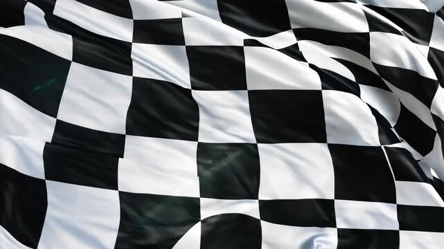 A checkered flag with a black and white design. The flag is waving in the wind