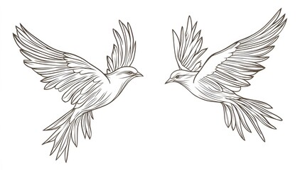 Fototapeta premium A pair of birds flying together, their wings spread wide, in minimal line art on a white background