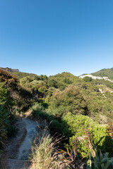 Putangirua Pinnacles Scenic Reserve Track Landscape