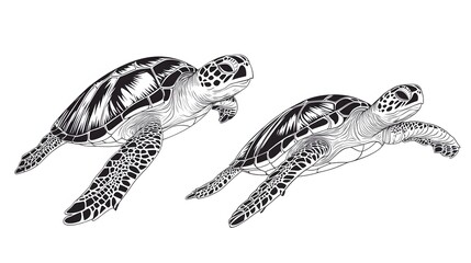 A pair of turtles swimming together, captured in simple line art on a white background