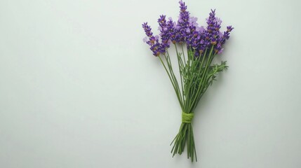 Naklejka premium Ramo de flores de lavanda en fondo blanco