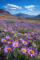 Obraz premium Vibrant wildflowers in a stunning valley surrounded by mountains under a bright blue sky