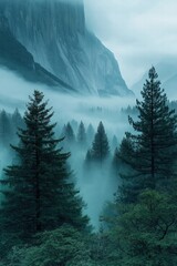 Mystical forest landscape with fog and towering mountains at dawn in a serene natural setting