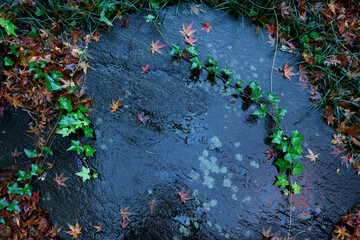 秋の寒い雨に濡れた石