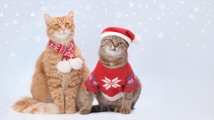 Two adorable cats in festive Christmas outfits sit on a snowy background with falling snowflakes. One cat wears a red scarf, the other a Santa hat and sweater. Perfect for holiday-themed designs