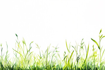 Fototapeta premium Fresh green grass against a clean white background for designs