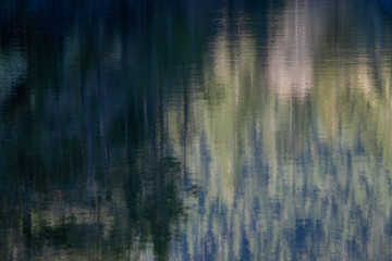 Trees reflecting in a lake abstract