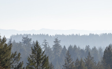 Misty day in the mountains background