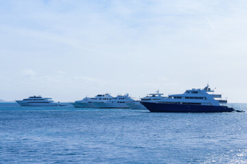 Majestic yacht fleet sailing on tranquil blue ocean under clear skies