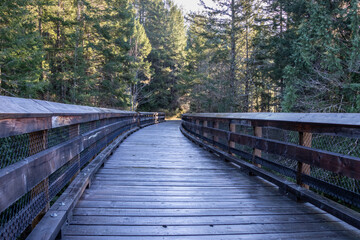 A wooden trestle bridge in the forest