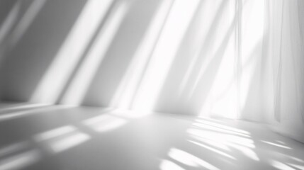 Obraz premium Sunlight Illuminates Room Through Sheer Curtains
