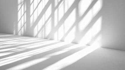 White Room Window Light Shadow Patterns