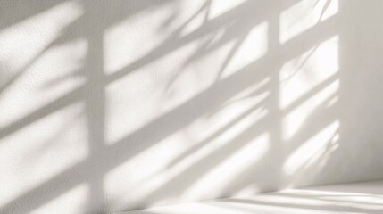 White Wall Illuminated by Window Shadows