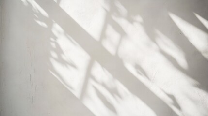 White Wall With Shadowy Plant And Window Patterns