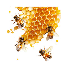 Bees with Honeycomb on Transparent Background