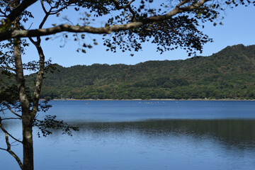 晴天の湖畔
