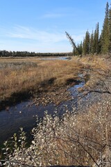 dry river bank in the autumn