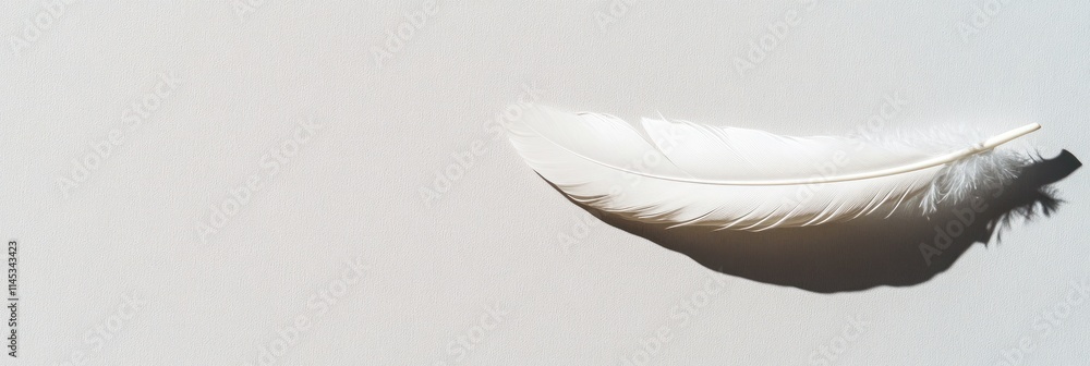 Poster a single soft eiderdown feather rests gently on a clean surface creating a serene atmosphere. the mi