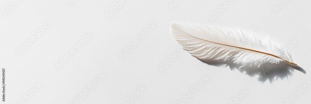 Poster a delicate eiderdown feather rests gracefully on a clean surface casting a gentle shadow that enhanc