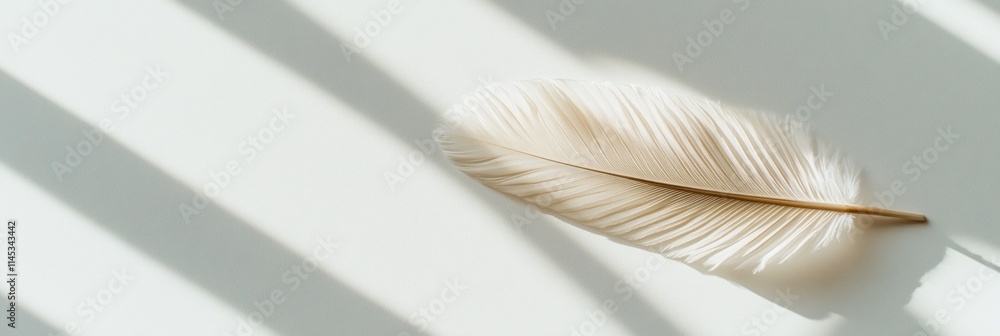 Poster a single eiderdown feather rests gently on a clean light surface casting a faint shadow. the minimal
