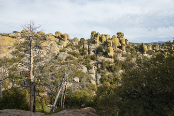 Rock formations at Chiricahua National Monument, Arizona