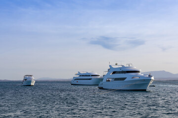 Serene coastal scene with luxury yachts anchored in tranquil blue waters