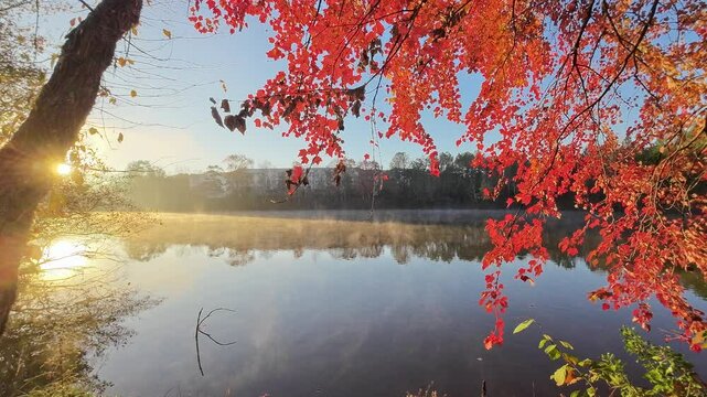 Foggy morning of Frazier lake , Durham, NC at fall