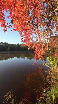 Foggy morning of Frazier lake , Durham, NC at fall
