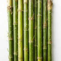 Fototapeta premium Sugarcane on white background - fruit generation -
