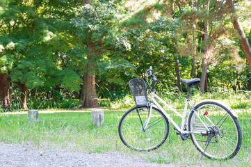 公園の自然と自転車の風景