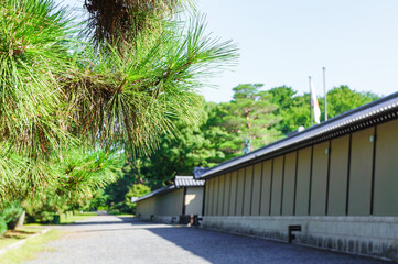 Fototapeta premium 松の枝越しに見る日本建築