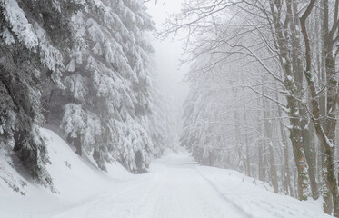Śnieżnik landscape park in winter Sudetes mountains, Lower Silesia Poland.