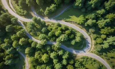 Aerial view of green trees and winding road in natural setting, foliage, outdoor exploration, lush vegetation