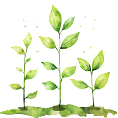 A watercolor vector of young saplings growing in the spring, isolated on a white background. Young saplings growing in the spring vector.
